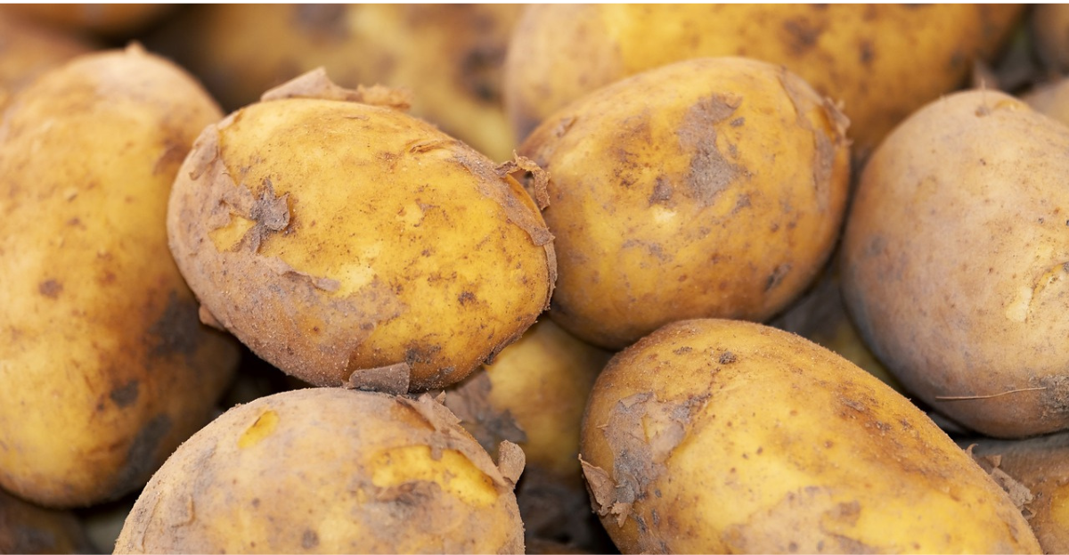 New Potatoes